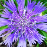 celtic-knot-dragonfly-necklace